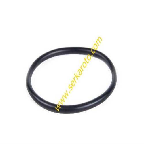  MEGANE GAZ KELEBEK ORINGI KALIN